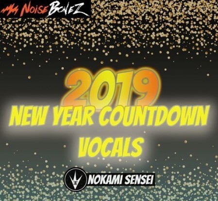 NoiseBonez New Year's Countdown WAV